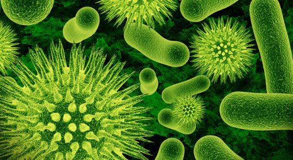 超级细菌在污水中不断进化或将危及人们的饮食安全