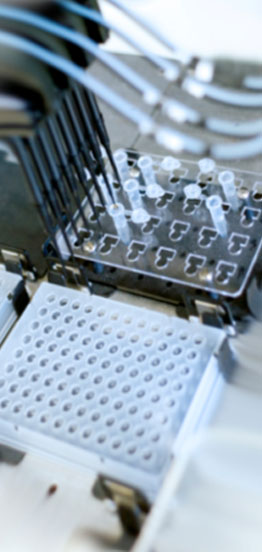 microRNA Real-time PCR服务