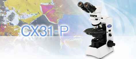 奥林巴斯CX31-P偏光显微镜