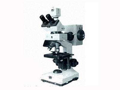 双目荧光显微镜 