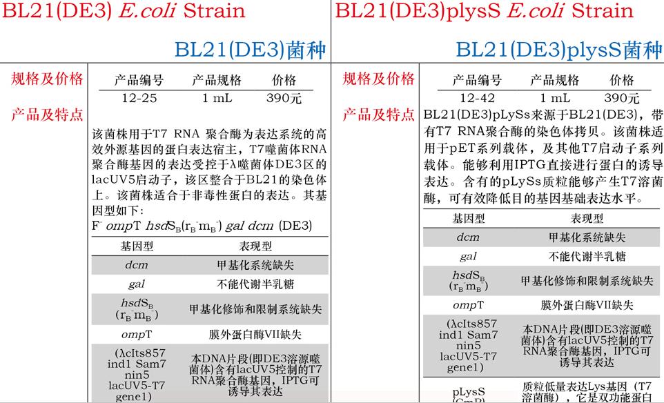 大肠杆菌bl21(de3)菌种