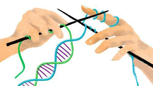 浅谈基因编辑工具：SpyCas9 系统