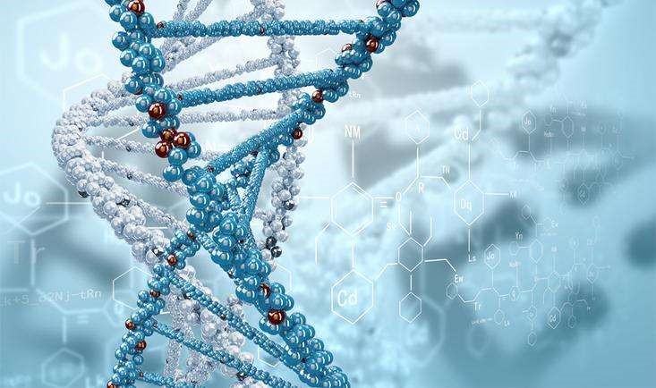 LncRNA调控机制及研究策略