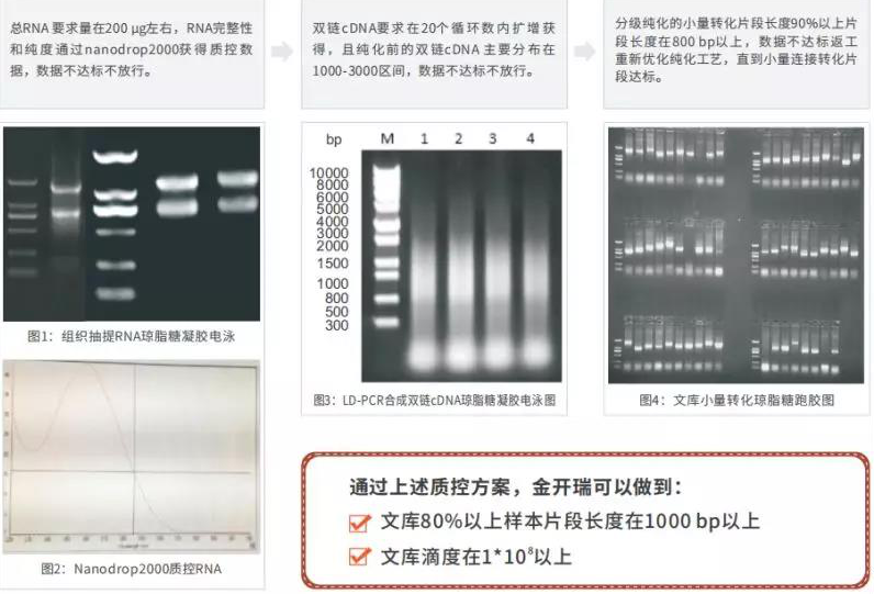 文库质量