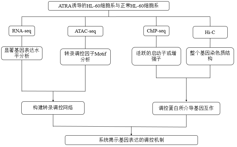 技术路线