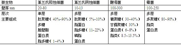 各种微生物细胞壁结构对比