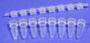 PCR Tubes 
