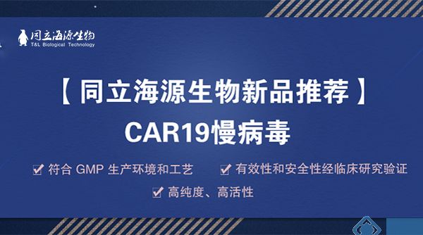 同立海源新品推荐CAR19慢病毒