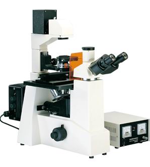 荧光倒置显微镜，数码荧光显微镜