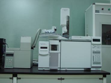 Agilent 6890N GC