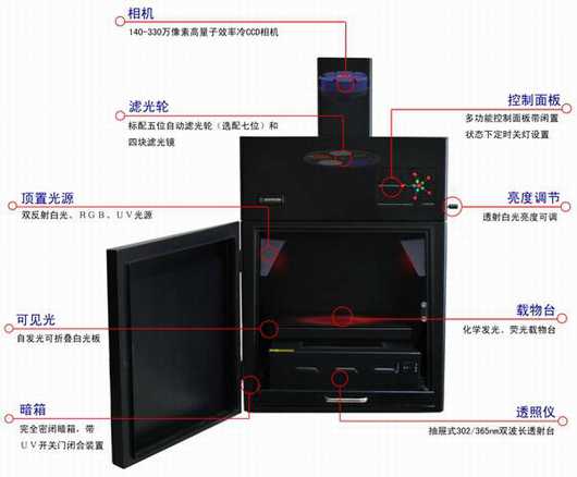 多色荧光凝胶成像系统