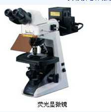 尼康E200显微镜，尼康E200荧光显微镜