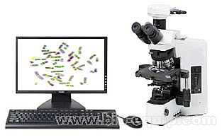 染色体核型分析系统