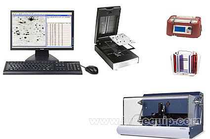 单双向电泳分析系统