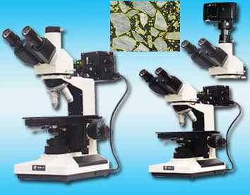 正置金相显微镜LW200-3JT/B