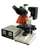 荧光显微镜(电脑型)
