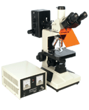 荧光显微镜(电脑型)
