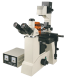荧光显微镜(数码型)