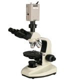偏光显微镜(电脑型)