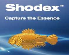 shodex色谱柱