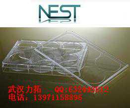 NEST细胞培养板