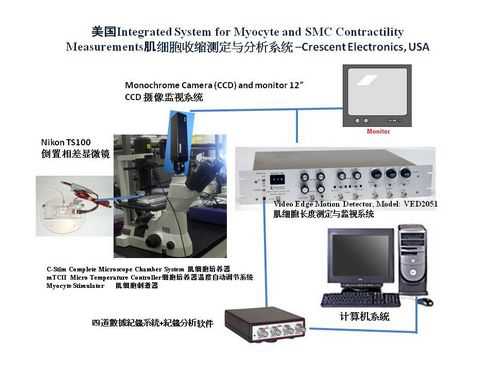 肌细胞收缩测定与分析系统