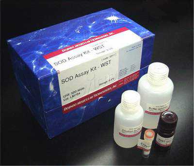 人维生素D受体(VD R)ELISA试剂盒