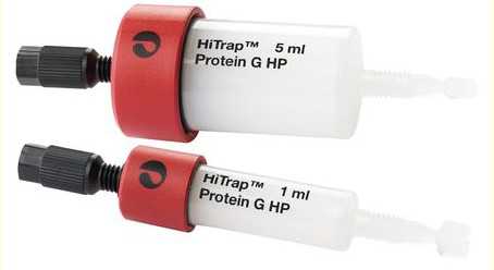Protein G预装柱
