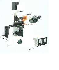 LAO-XDY-1视频数码摄像倒置荧光显微镜