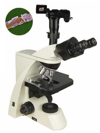 BM-10系列     生物显微镜