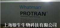 Whatman转印膜NC膜Western专用10401196/0.45um