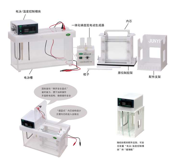 变性梯度凝胶电泳