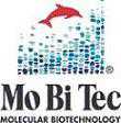 卓越性能，Mobitec巨大芽孢杆菌表达系统