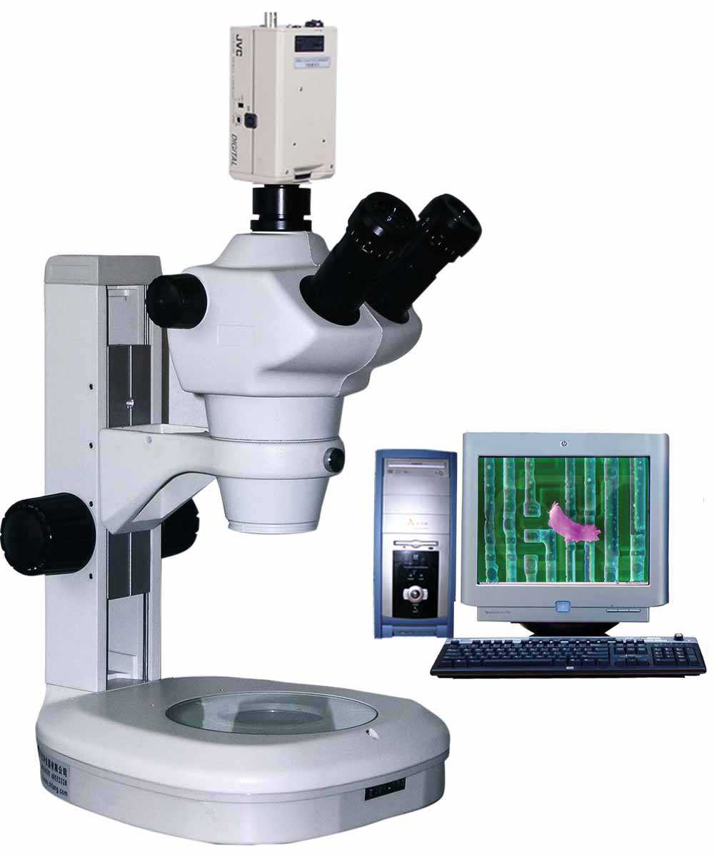 ZOOM-650系列研究型立体显微镜