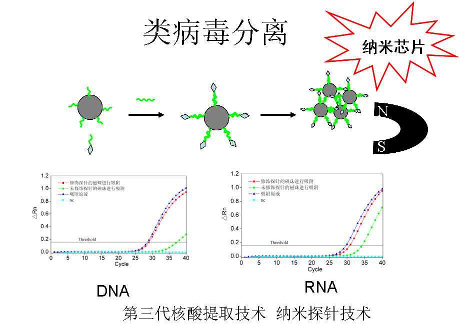 PolyA纳米磁珠mRNA分离试剂盒