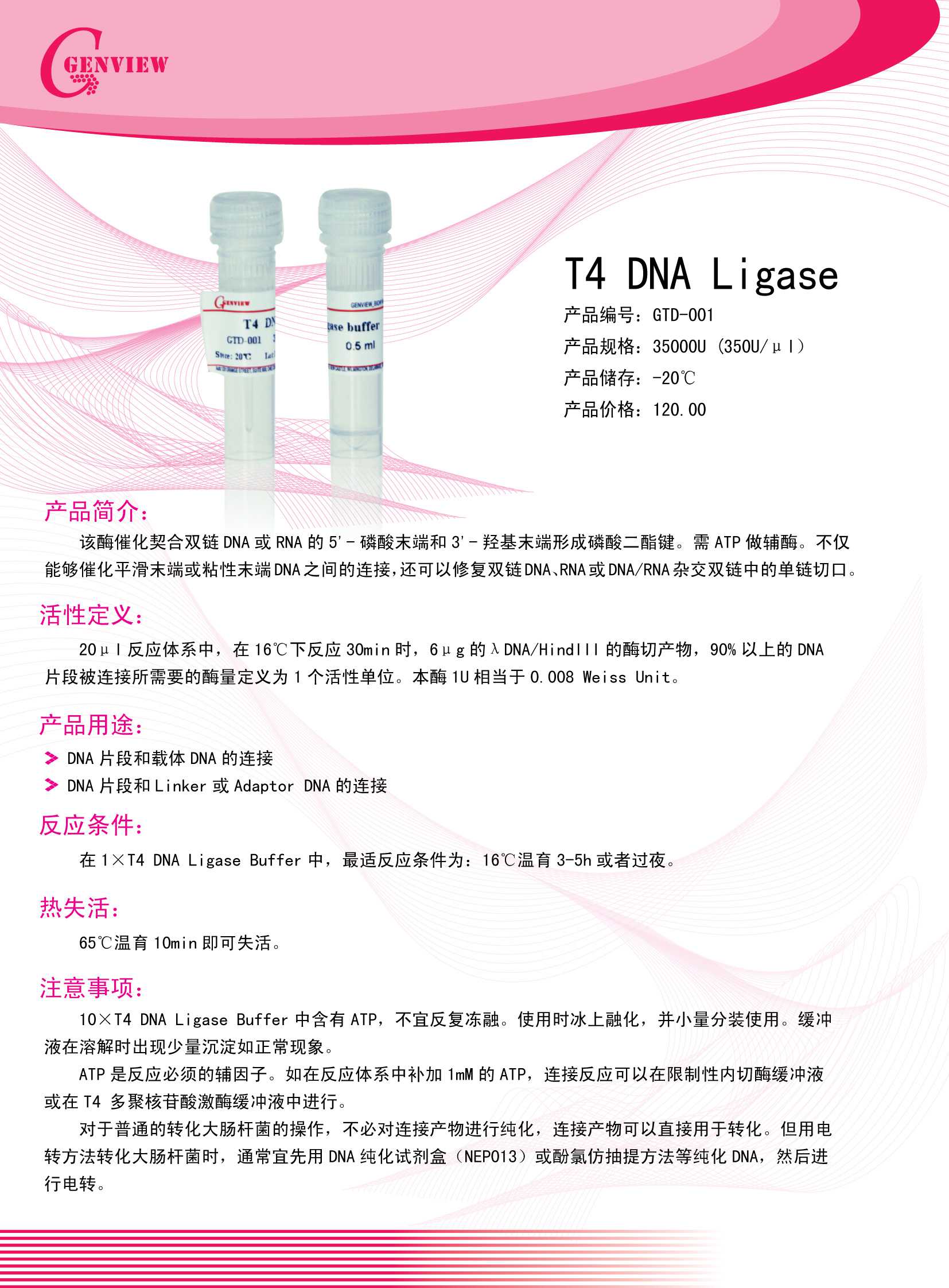 T4 DNA Ligase，DNA连接酶