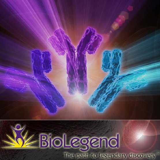 BioLegend公司LEAF系列抗体