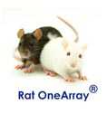 华联OneArray&reg;大鼠表达谱芯片