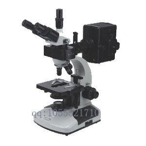 烟台威海荧光显微镜 落射荧光显微镜