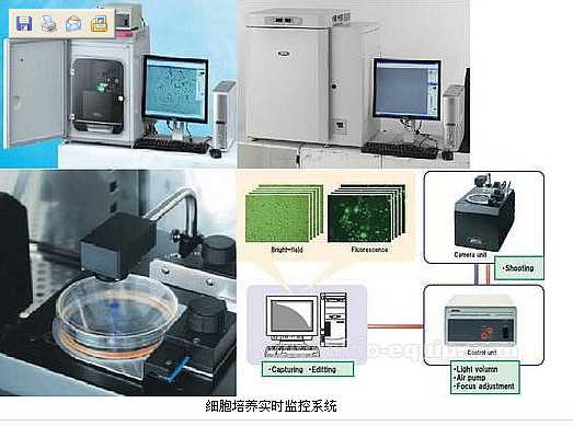 细胞培养实时监测系统