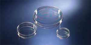 IVF 35mm 培养皿