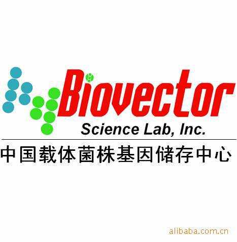 Stbl2大肠杆菌菌株感受态细胞E.coli Competent Cells