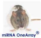 华联小鼠&大鼠miRNA OneArray&reg;芯片