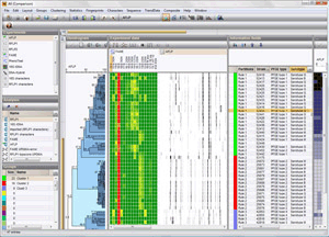 BioNumerics生物信息分析软件