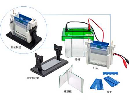 JY-SCZ2+型垂直电泳槽