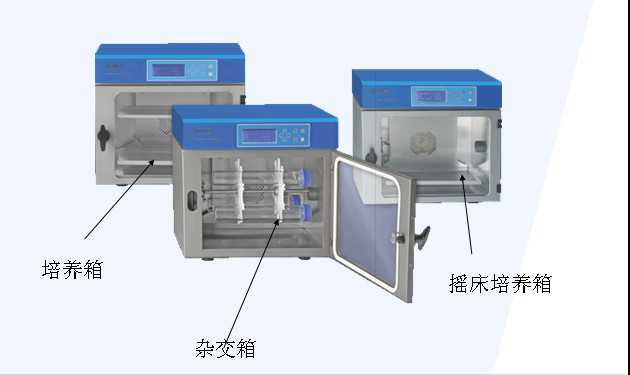 分子杂交箱 深圳独家供应