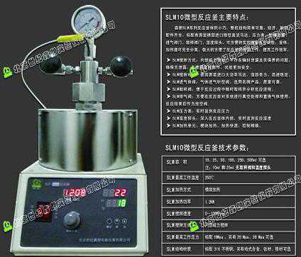 SLM10微型反应釜