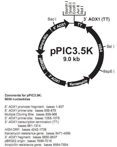 pPIC3.5K vector