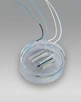 中空纤维细胞移植管（Hollow Fiber Cell Implantation）