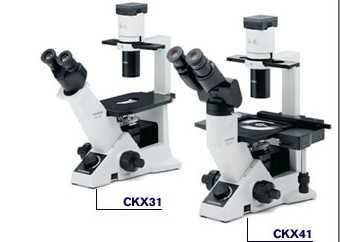 奥林巴斯 CKX31 倒置显微镜